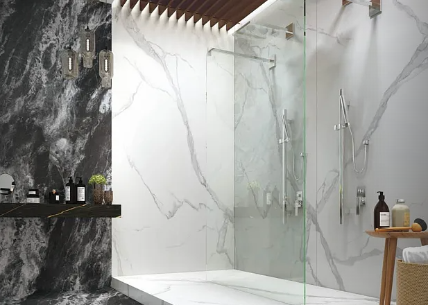 SS062银白龙 1.png