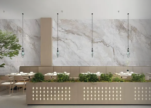 SS026凯越红 1.png